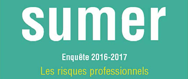 Summer enquete 2016-2017