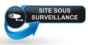 10 conseils pour mettre en oeuvre une stratégie de sûreté de l'entreprise