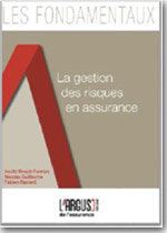 La gestion des risques en assurance - Nicolas Guillaume, Axelle Brault-Fonters, Fabien Raviard