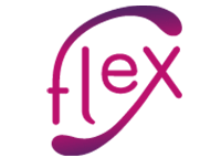 FLEX CONSEIL ET SERVICES