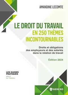 Le droit du travail en 250 thèmes incontournables