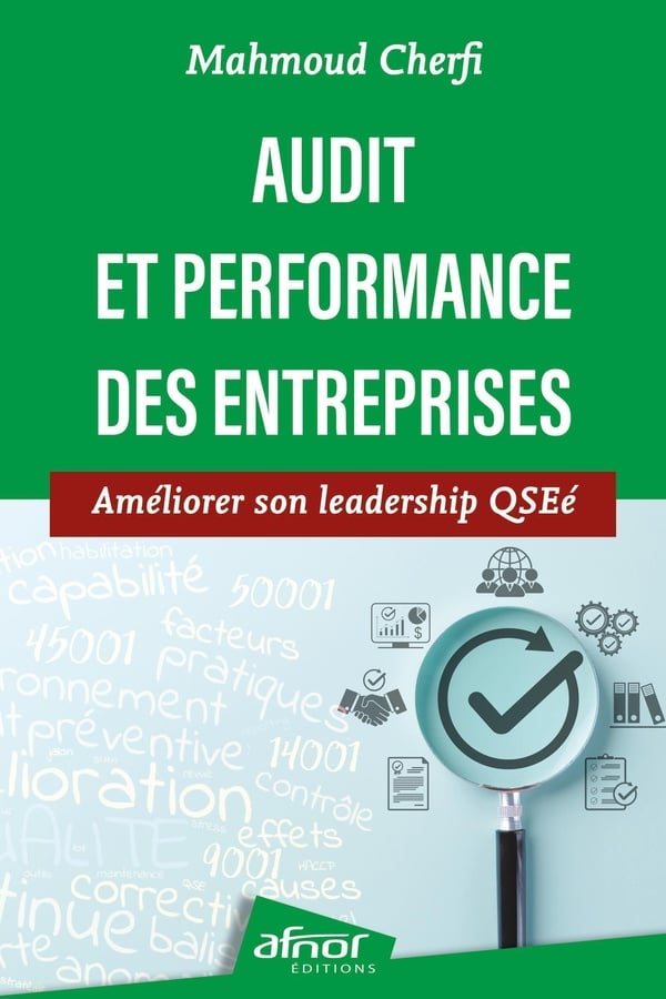 Audit et performance des entreprises