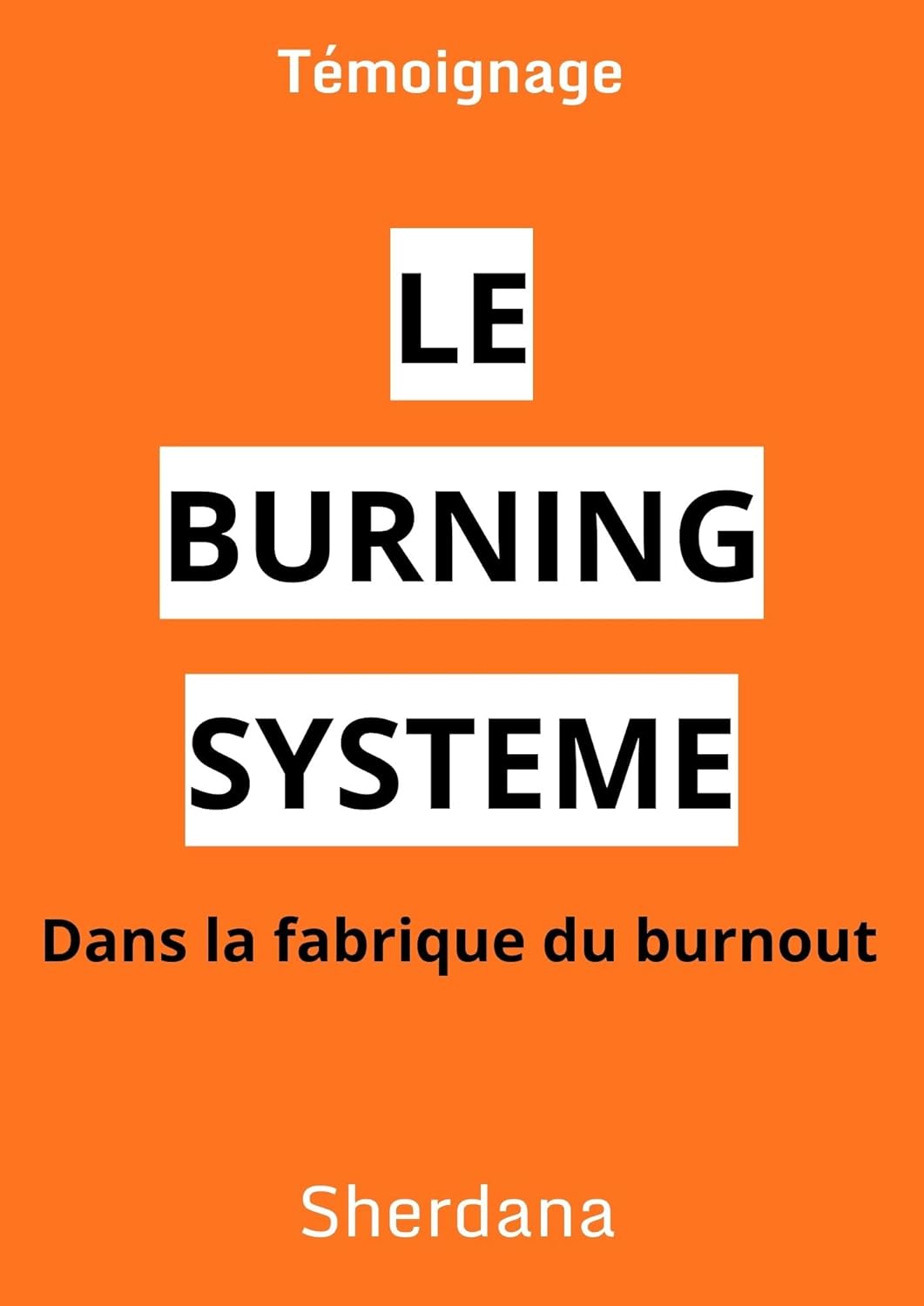 Le Burning Systeme : dans la fabrique du BURNOUT en entreprise