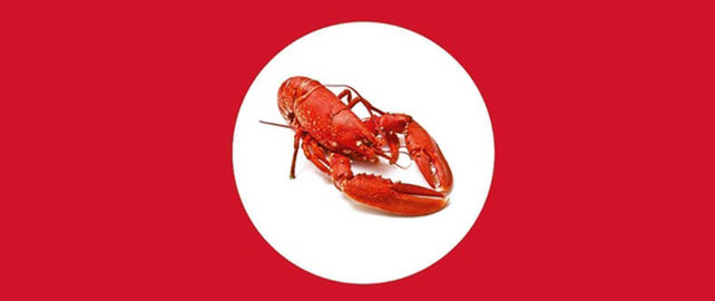 Dépasser la CRISE : la technique du homard !