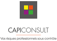 CAPI CONSULT
