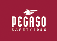 Pegaso safety
