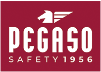 Pegaso safety