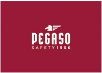 Pegaso safety