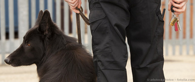 Fonds de modernisation sociale des activités de sécurité privée : où en est-on ?