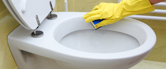 Bien-être au travail : le rôle clé des toilettes