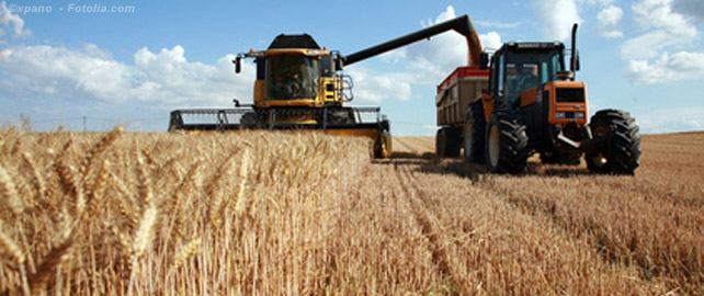 Comment préserver la santé et la sécurité au travail des agriculteurs ?