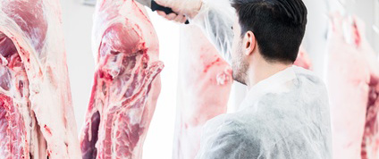 L'ANACT publie son rapport sur l'amélioration des conditions de travail dans les abattoirs
