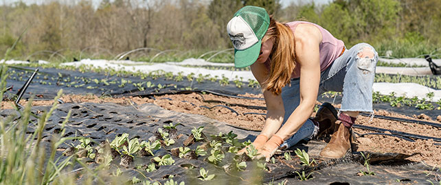 La MSA se mobilise pour la santé des femmes du secteur agricole