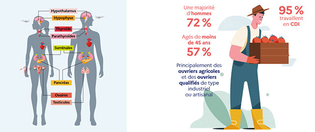 « 55 % des entreprises utilisent soit des perturbateurs endocriniens, soit des nanomatériaux, soit les deux »
