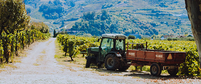 83 % des conducteurs de véhicules agricoles ont déjà eu des attitudes risquées au volant