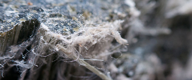 La META : la clé pour évaluer l’exposition à l’AMIANTE ?