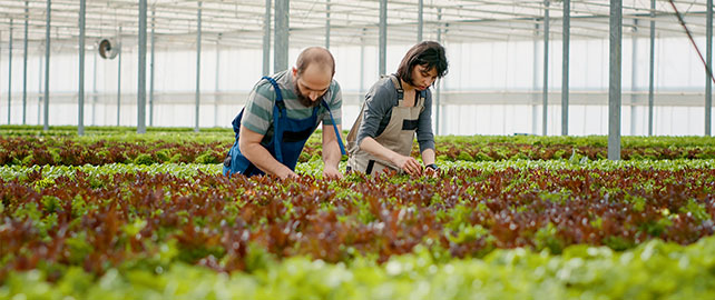 AGRICULTURE : la MSA et le Groupe AGRICA financent des initiatives en santé mentale