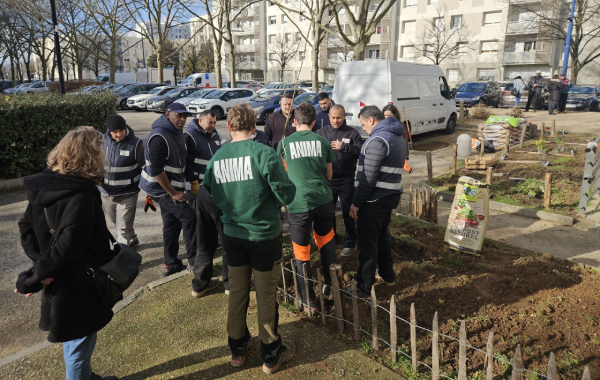 Améliorer le cadre de travail grâce aux îlots de biodiversité et de fraicheur