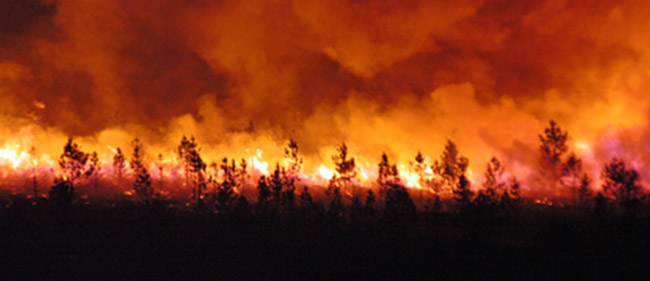 La forêt en FEU de la Teste de Buch révèle notre perception du temps