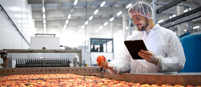 Les exosquelettes dans l'agroalimentaire. Pour réduire les efforts, l'exosquelette est-il une solution ?