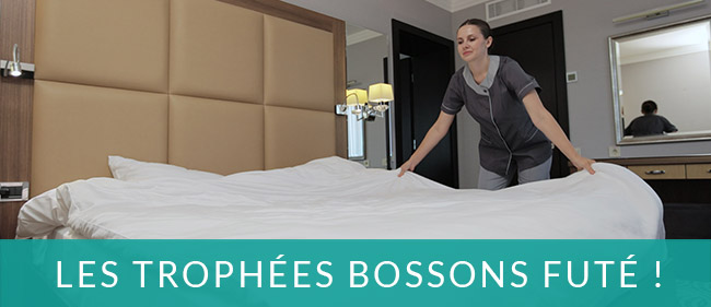 La PÉNIBILITÉ dans l'entretien des chambres avec couettes : Constat, Expérimentation, Solution motorisée